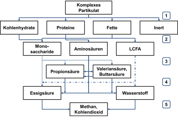 Betriebsparameter-Optimierung in Biogasanlagen