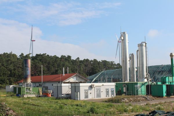 Energetische Nutzung Biomasse