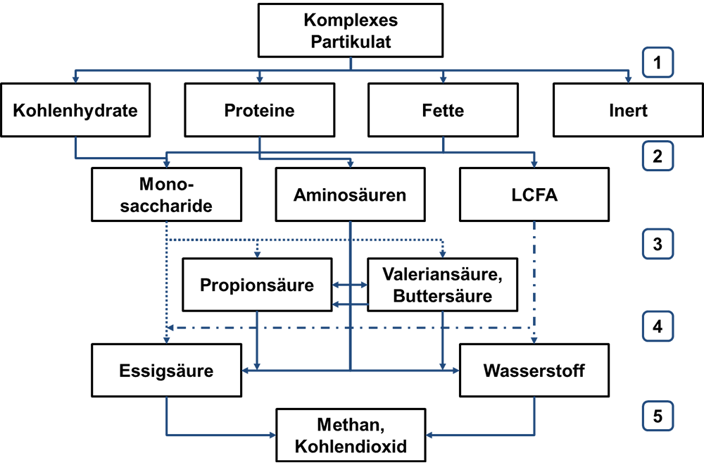 Betriebsparameter-Optimierung in Biogasanlagen